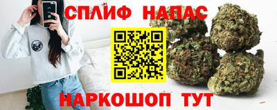 прущие грибы Беслан