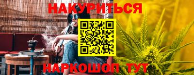сатива Бийск