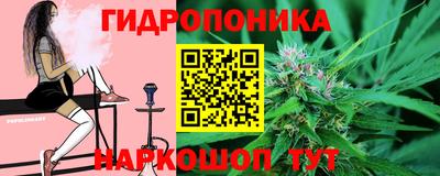 сатива Бийск