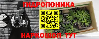 сатива Бийск