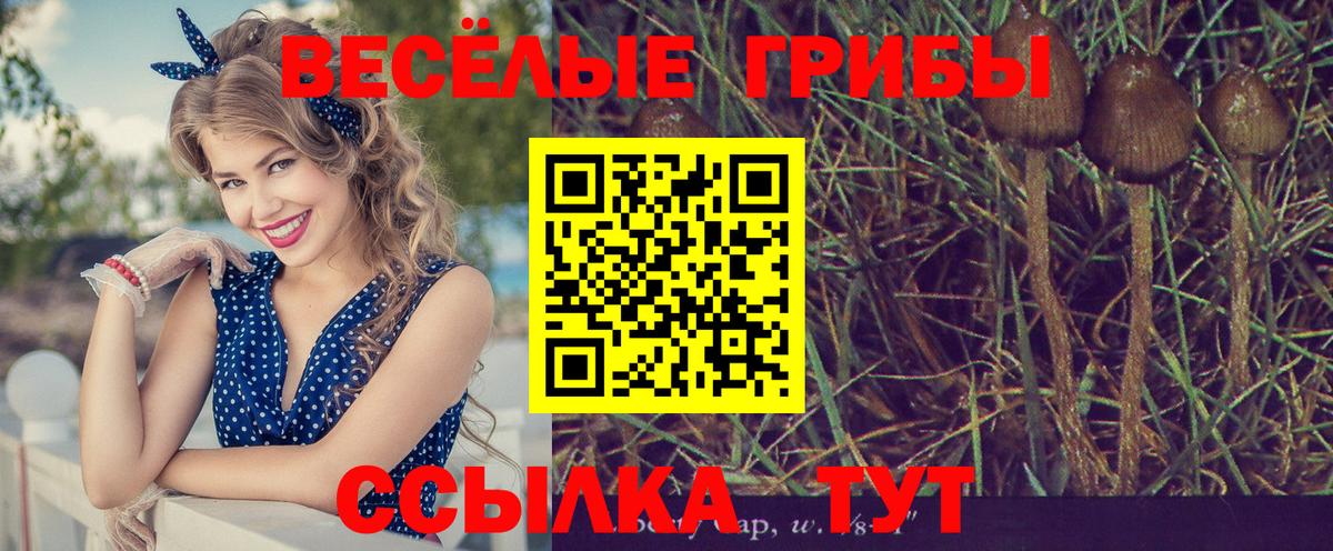 Псилоцибиновые грибы мухоморы  Псилоцибиновые грибы GOLDEN TEACHER  закладка  Вход с VPN  Дмитров 